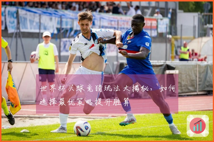 世界杯买球竞猜玩法大揭秘，如何选择最优策略提升胜算