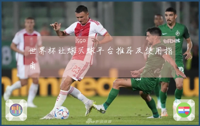 世界杯让球买球平台推荐及使用指南
