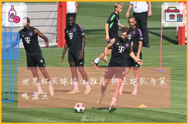 世界杯买球投注推荐 热点球队与策略盘点