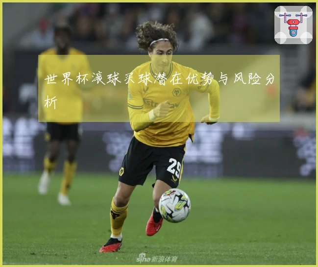 世界杯滚球买球潜在优势与风险分析