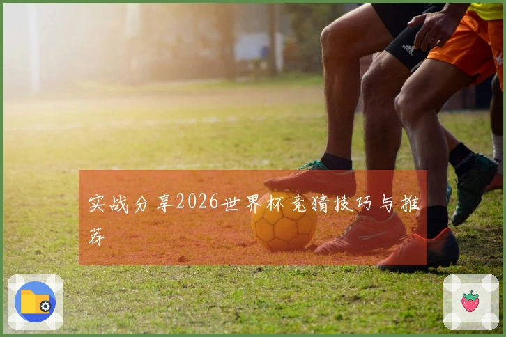 实战分享2026世界杯竞猜技巧与推荐