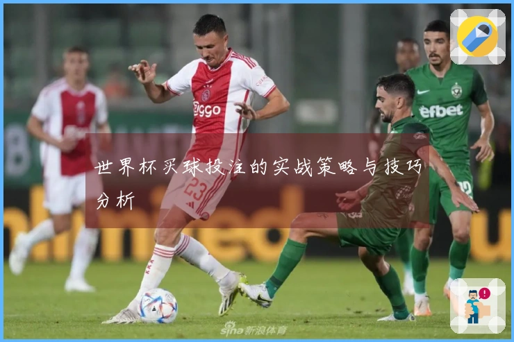 世界杯买球投注的实战策略与技巧分析