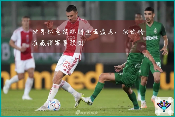 世界杯竞猜规则全面盘点，助你精准赢得赛事预测